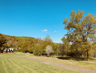Eine grüne Sommerlandschaft mit Bäumen und Wiesen im Ferienzentrum Albert Schweitzer in Vöhl unter blauem Himmel.