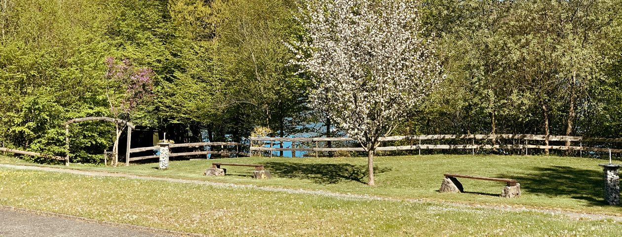 Die grüne Parkanlage am Vöhler See mit Bänken und Bäumen beim Ferienzentrum Albert Schweitzer in Vöhl.