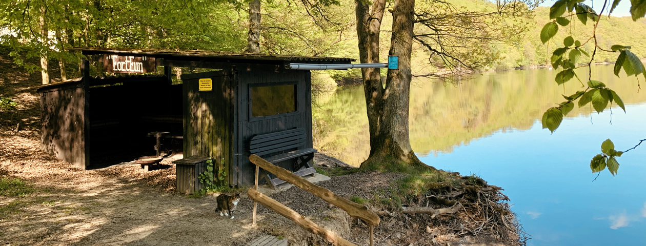 Ein hölzerner Unterstand mit Sitzbank am Ufer des Vöhler Sees beim Ferienzentrum Albert Schweitzer. Eine Katze steht davor.