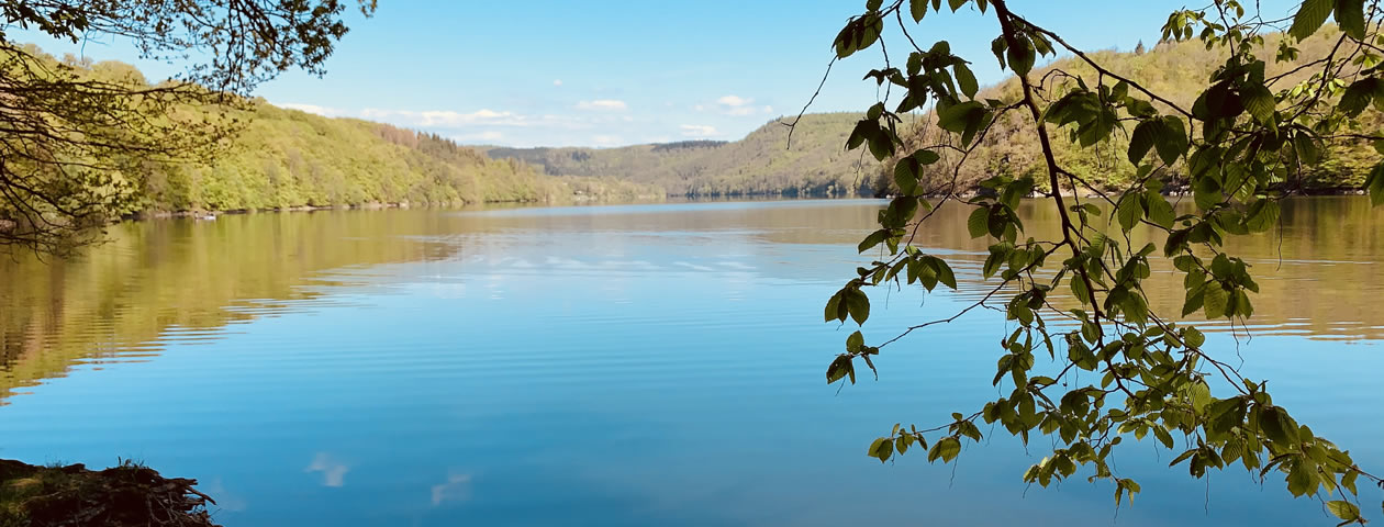 Der ruhige Vöhler See umgeben von grünen Wäldern, gesehen vom Ferienzentrum Albert Schweitzer in Vöhl.